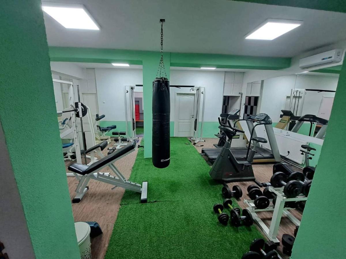 Apartma Vany *